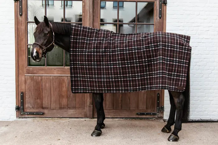 Kentucky Check fleece rug