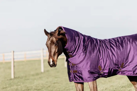 Kentucky Horsewear Purple outdoor rug