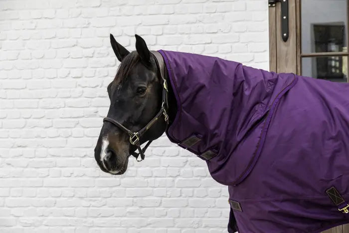 Kentucky new turnout rug neck