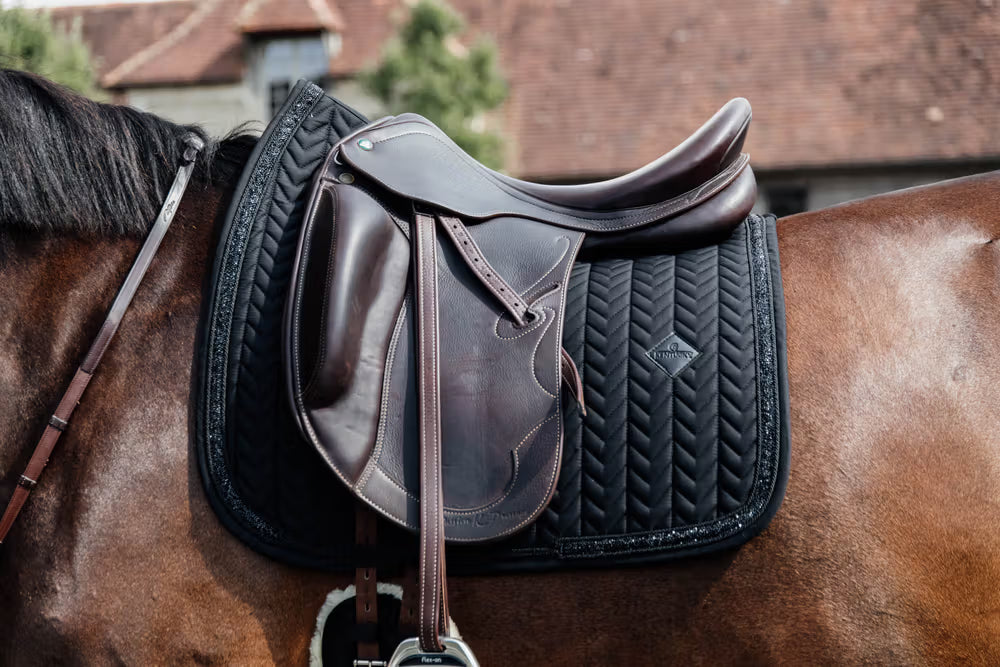 Kentucky Horsewear Glitter Saddle pad black on a brown horse