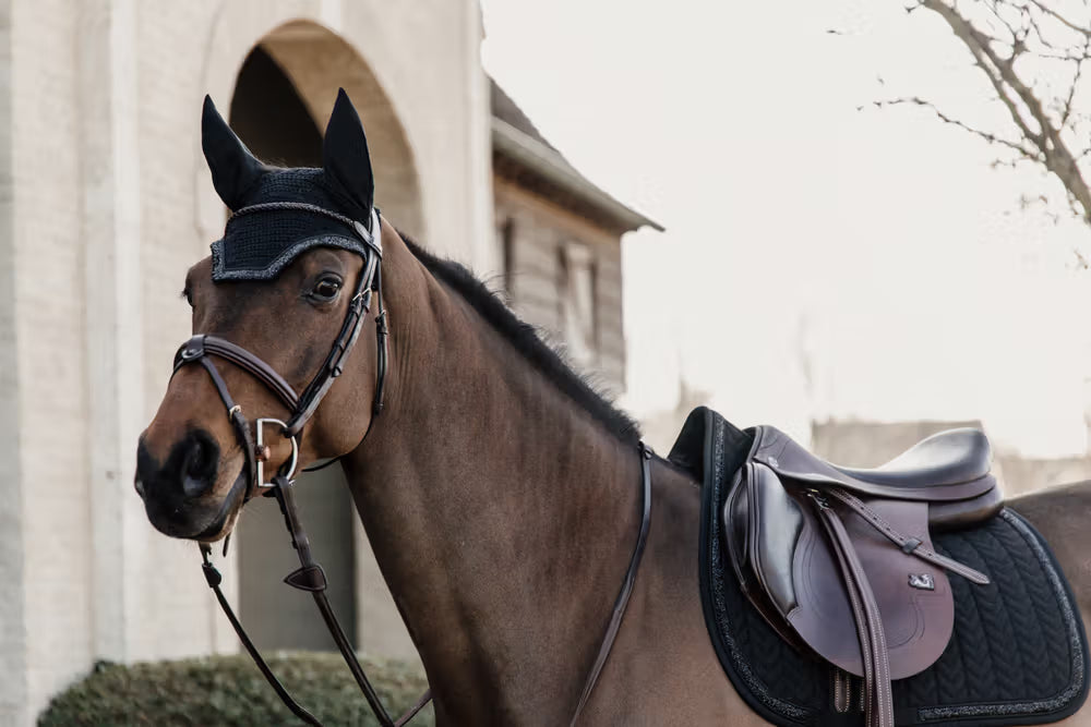 Kentucky Horsewear Glitter Set in black on a brown horse