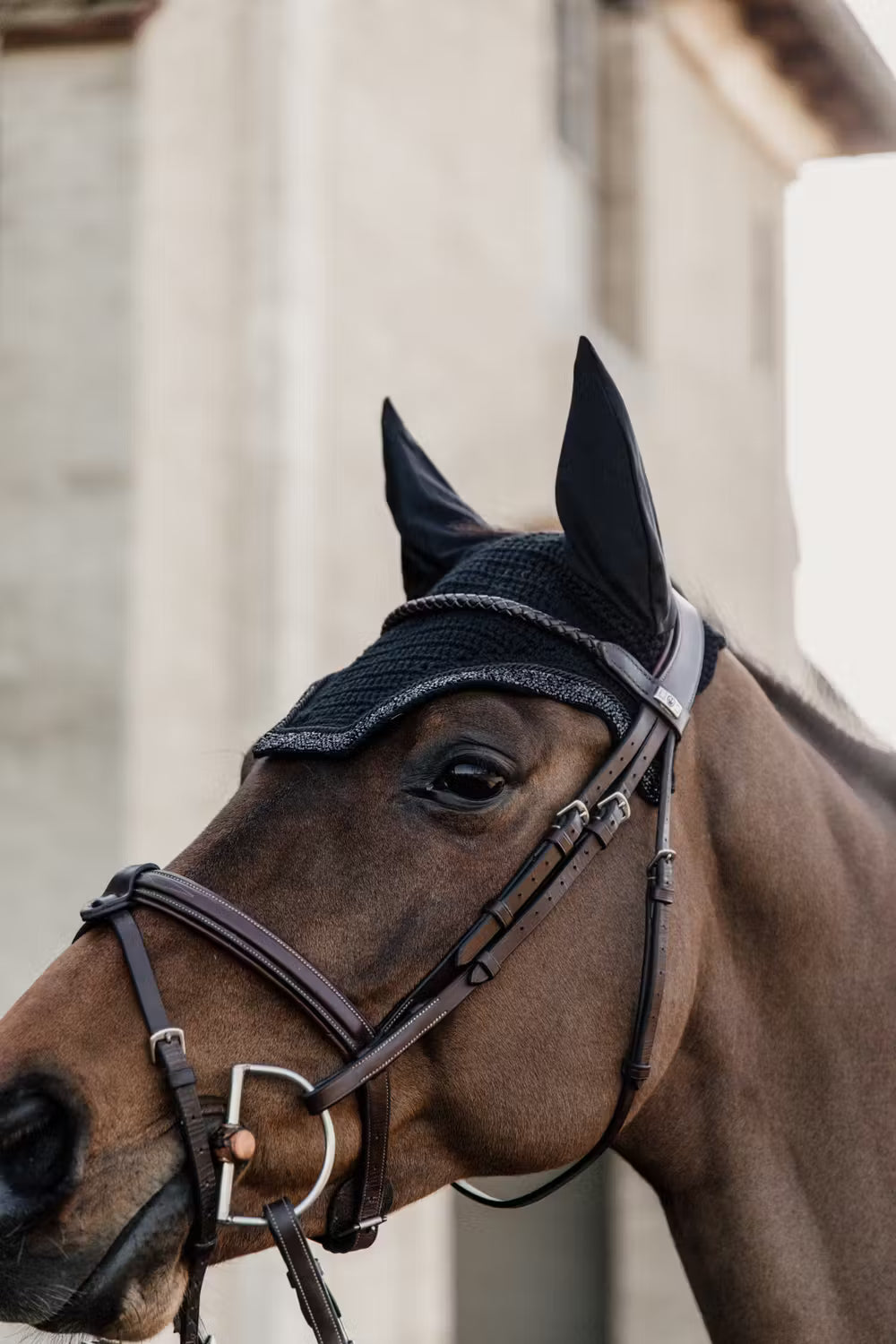 Kentucky Horsewear Glitter Stone ear bonnet in black