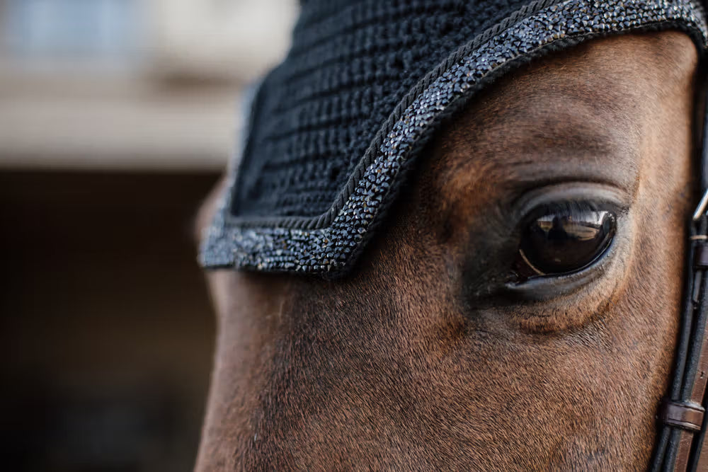 Close up of Kentucky Glitter Stone Fly bonnet in black