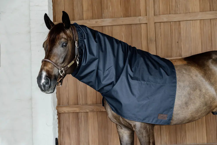 kentucky waterproof neck rug dark navy