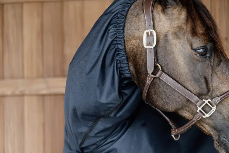 horse scarf for every rug with zipper