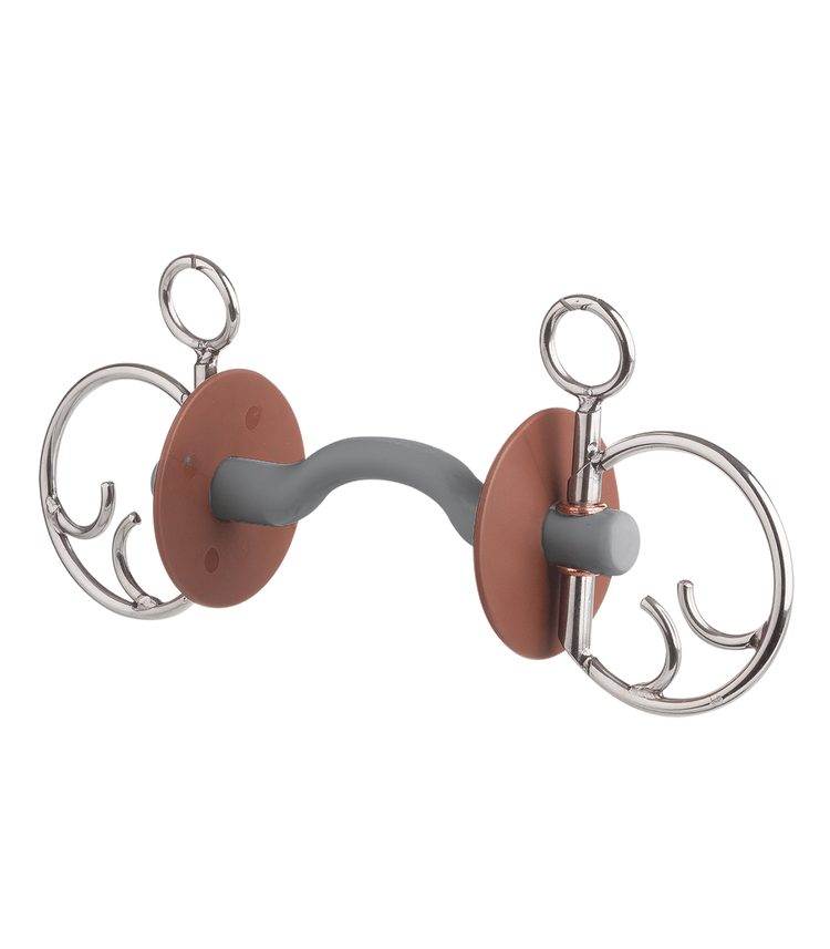 Beris bit with tongue port
