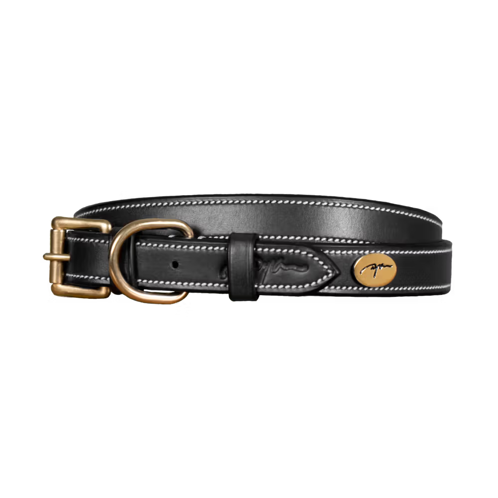 High quality black leather dog collar with cream stitching
