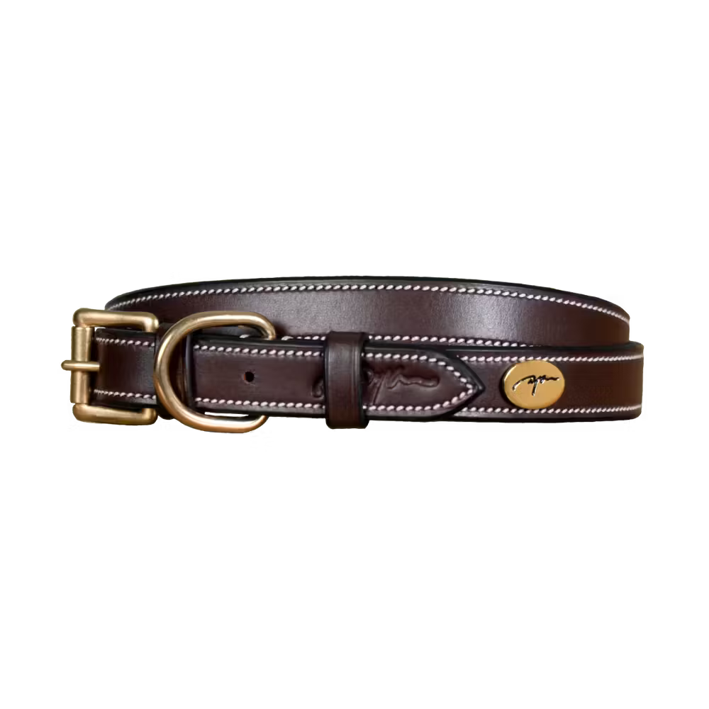 Brown leather dog collar with gold buckle and cream stitching from Dy&