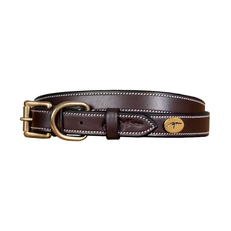 Brown leather dog collar with gold buckle and cream stitching from Dy&