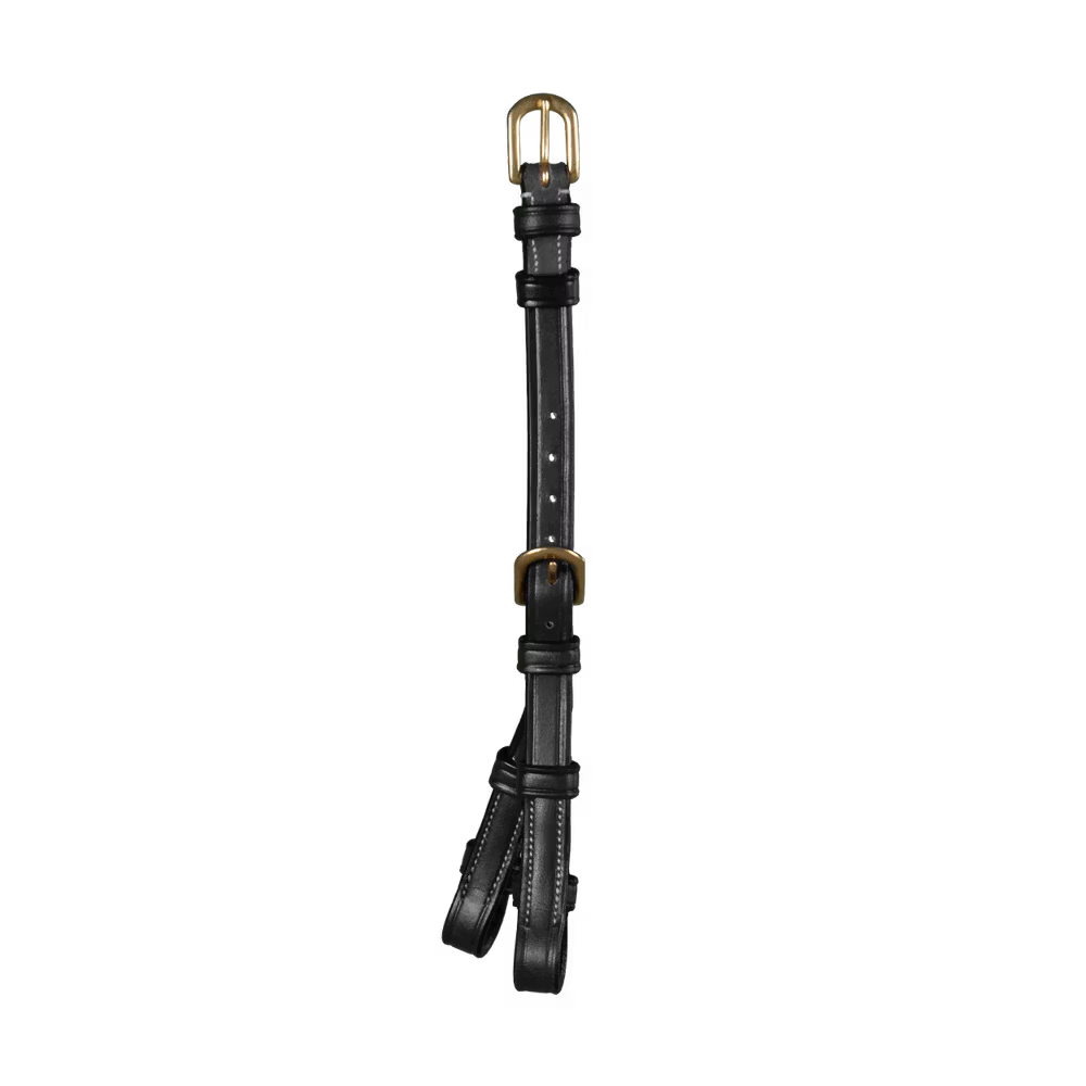 Double bridle cheek piece converter