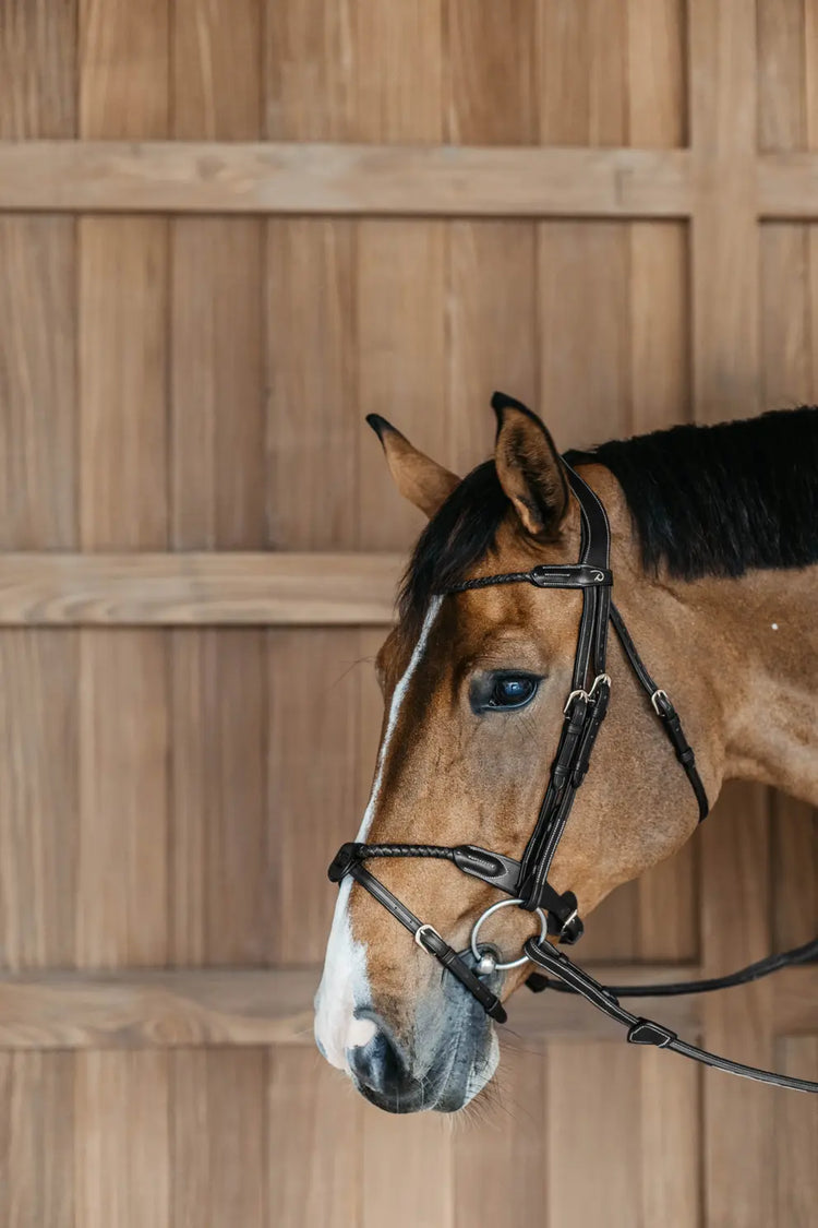 Rope noseband bridle in leather