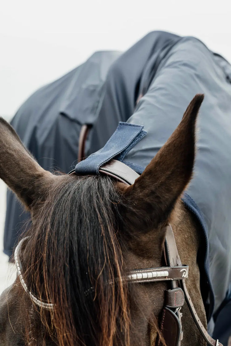 waterproof horse rug