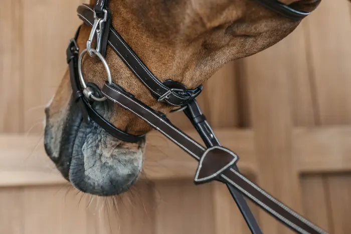 Cheekpiece with snap hooks for quick change of bits