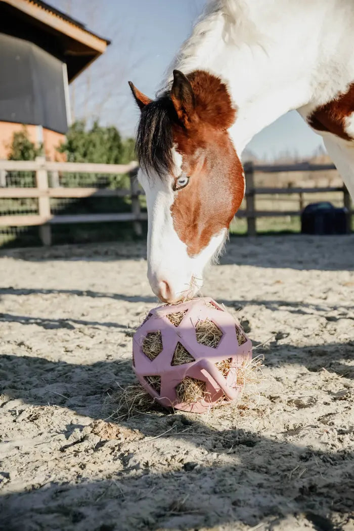 horse toy for paddocks