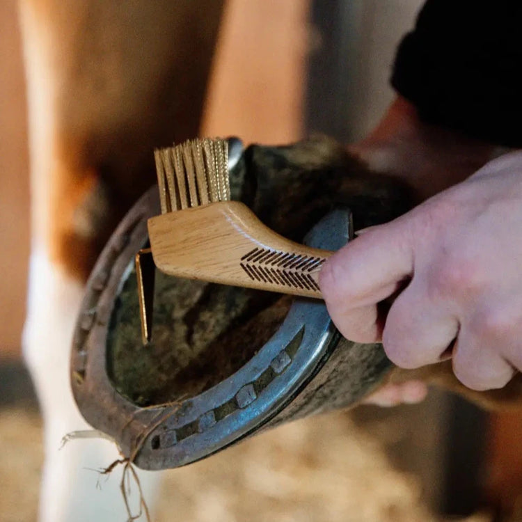 Grooming Deluxe horse care