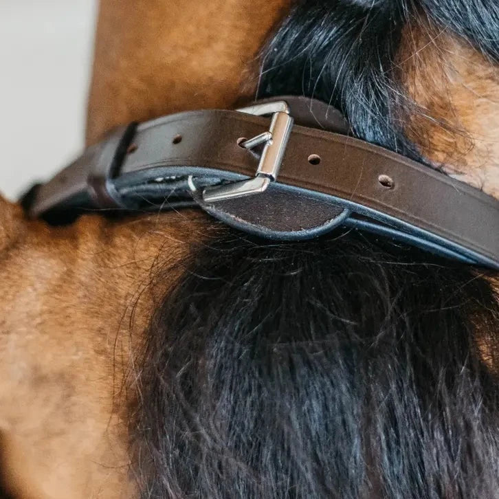 braided leather bridle