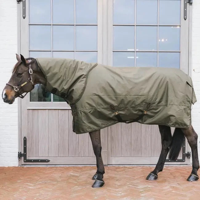 Best Kentucky neck cover
