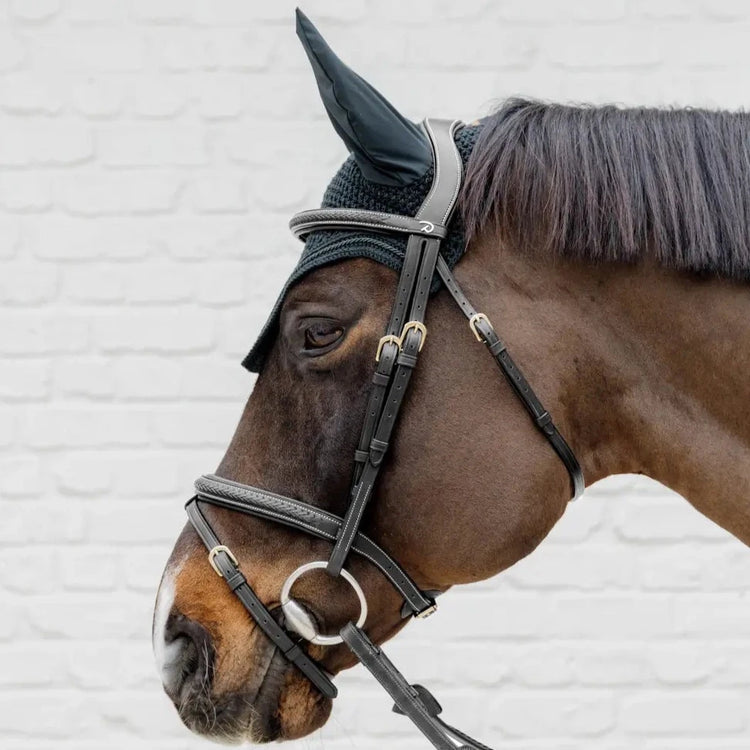 plaited noseband bridle