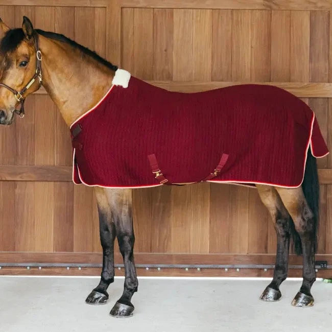 Burgundy transport blanket for horses