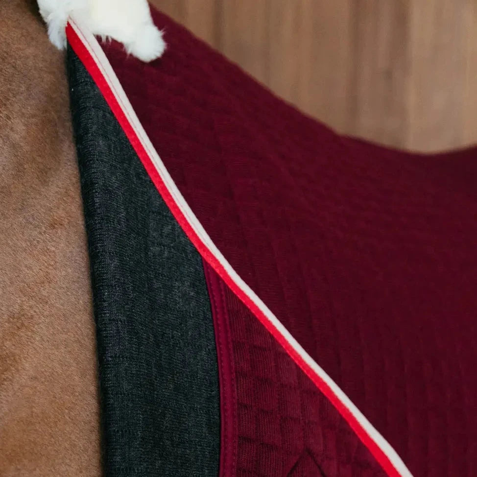 Best transport rug for horses