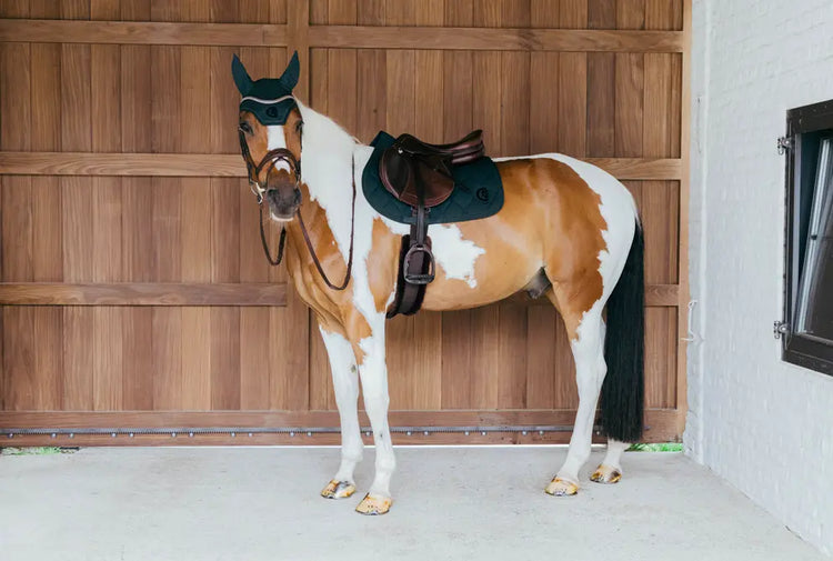 Luxury saddle pads