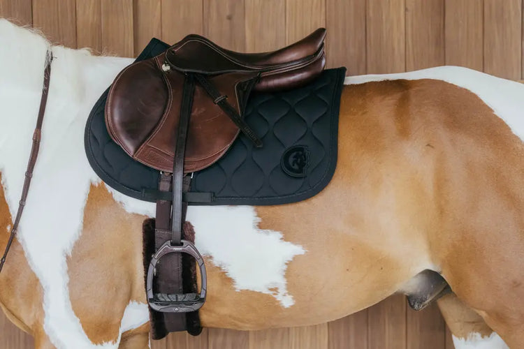 Saddle pad with kentucky logo