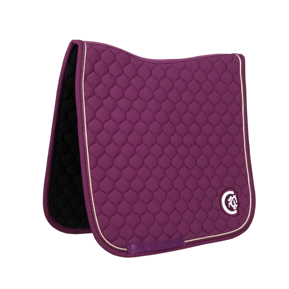 Kentucky equestrian equipment