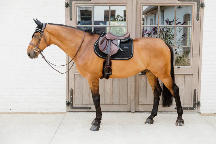 Kentucky Rubber Logo Saddle pad