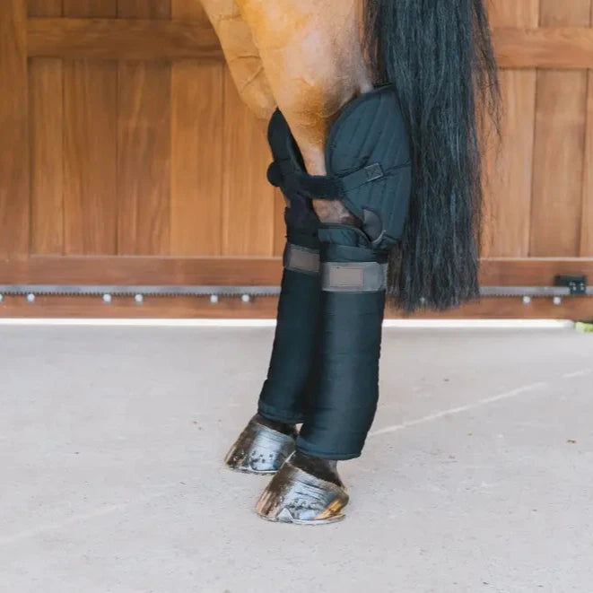 Kentucky Horsewear Bandage Pads with Hock Protection