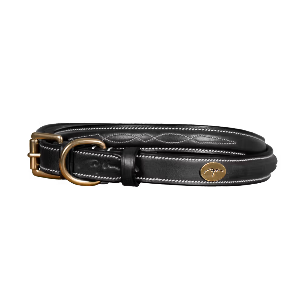 Black leather dog collar with gold hardware and cream stitching