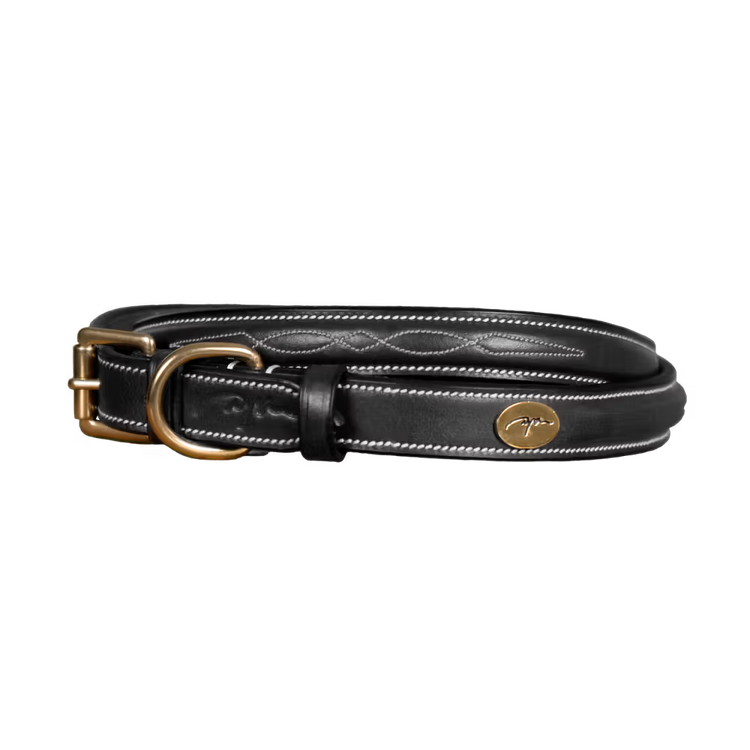 Black leather dog collar with gold hardware and cream stitching