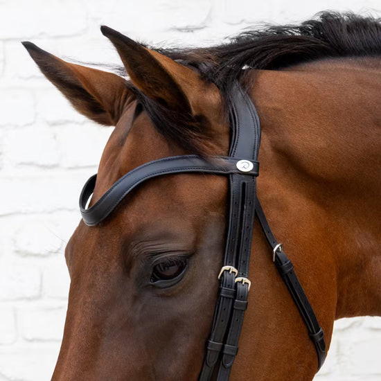 Leather bridle with crank noseband for dressage
