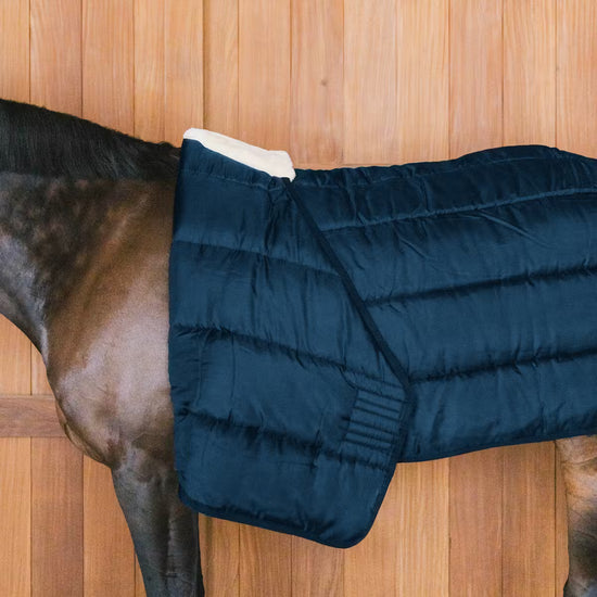 insulated horse blanket liner for cold and winter weather