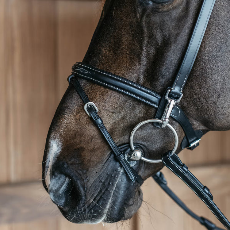 Training bridle with removable flash noseband