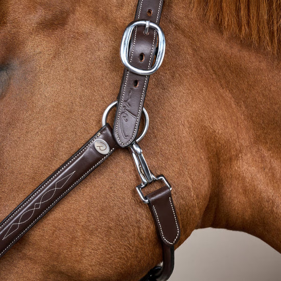 premium buffalo leather horse halter with fancy stitching