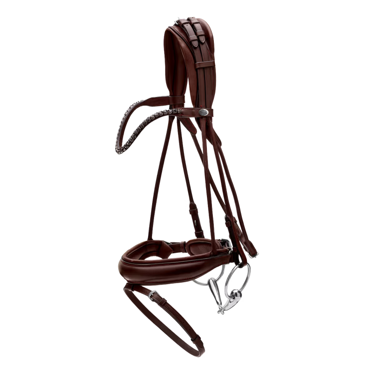 Anatomical bridle for dressage performance