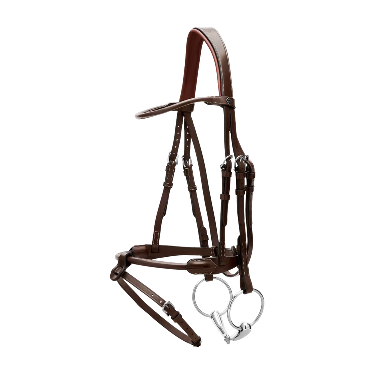 Elegant equestrian bridle round stitched leather