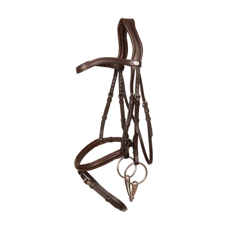 Anatomical horse bridle for comfort and performance