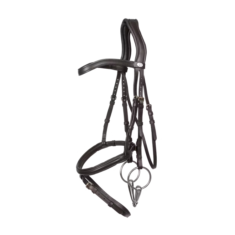 Horse wearing soft leather flash noseband bridle