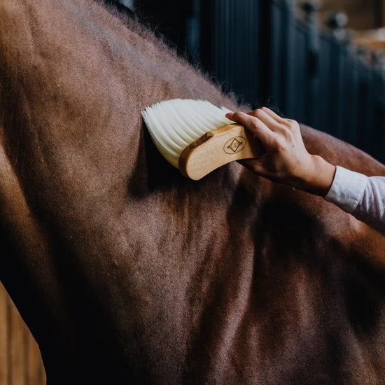 Kentucky horse brush banana shape design