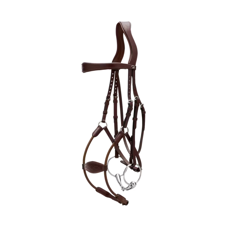 Anatomical bridle reducing pressure points