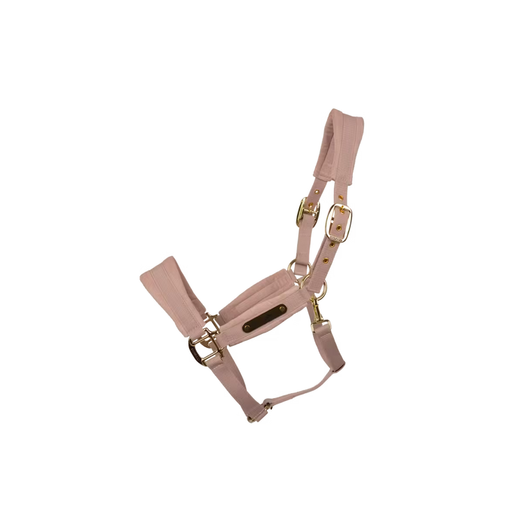 Velvet padded horse halter with nylon construction