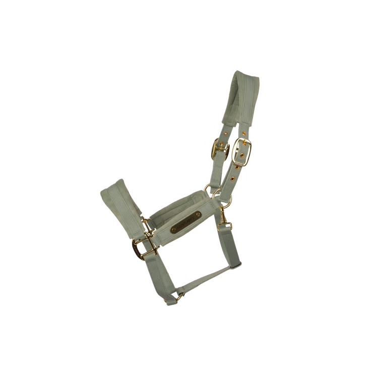 Kentucky nylon halter with velvet details