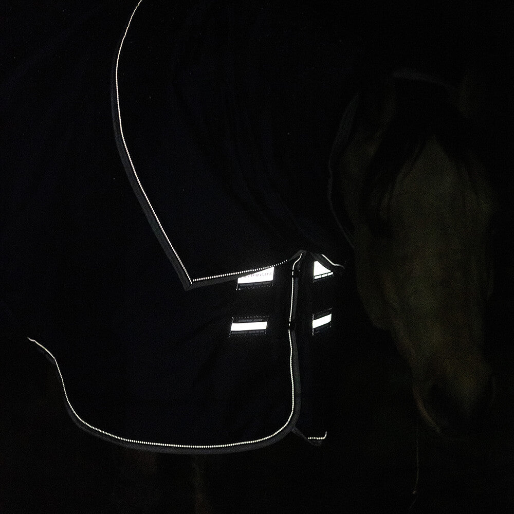turnout rug