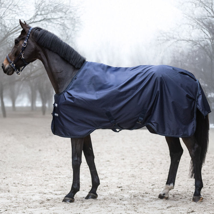 50g outdoor rug