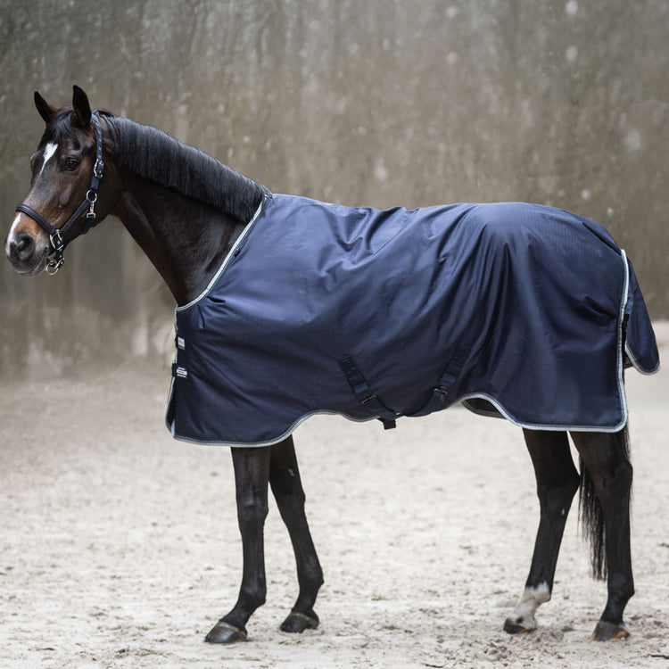 horse winter rug