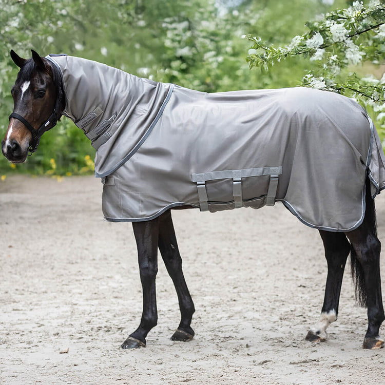 horse fly rug