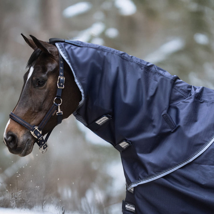 Horse neck Cover