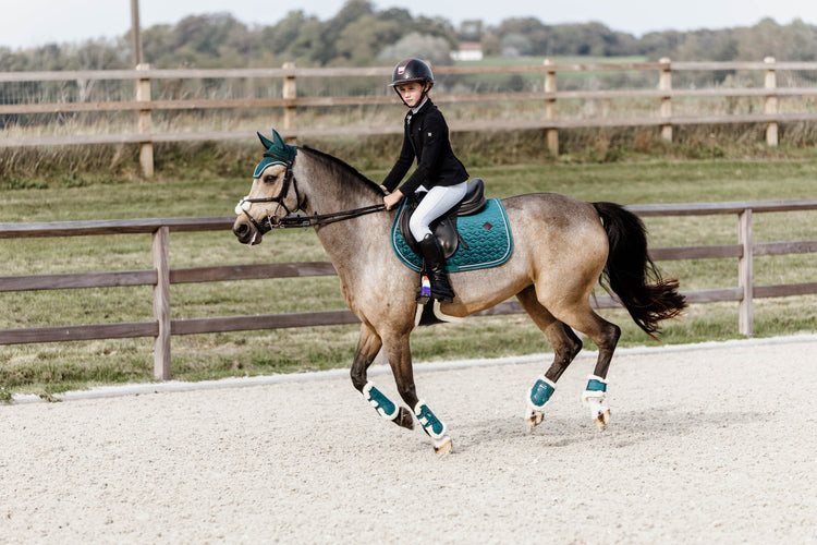 Kentucky horsewear pony