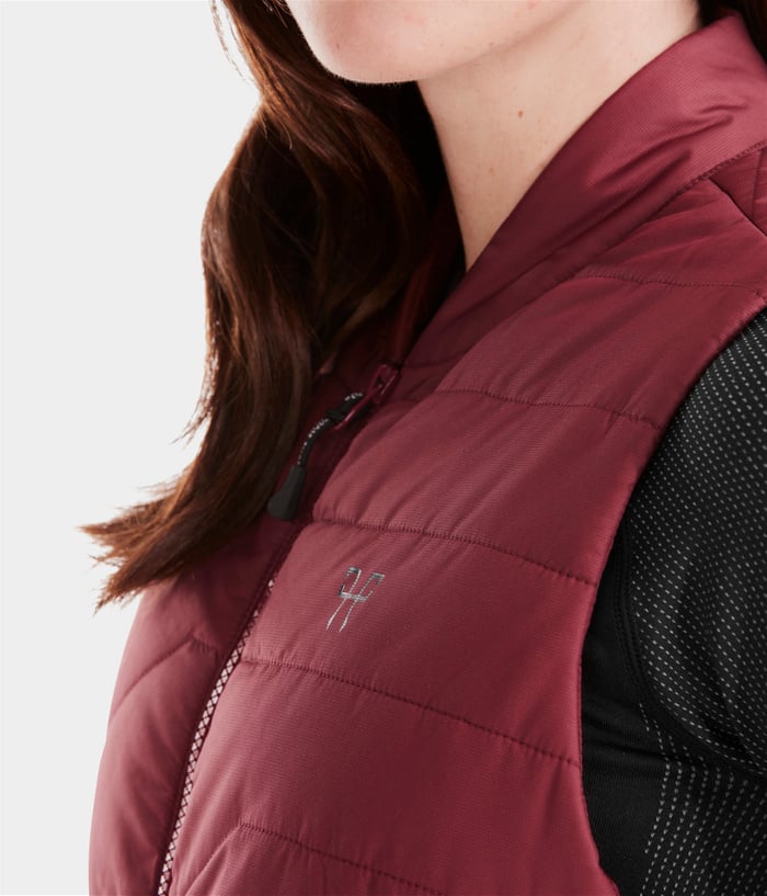 Heated vest for dog walking